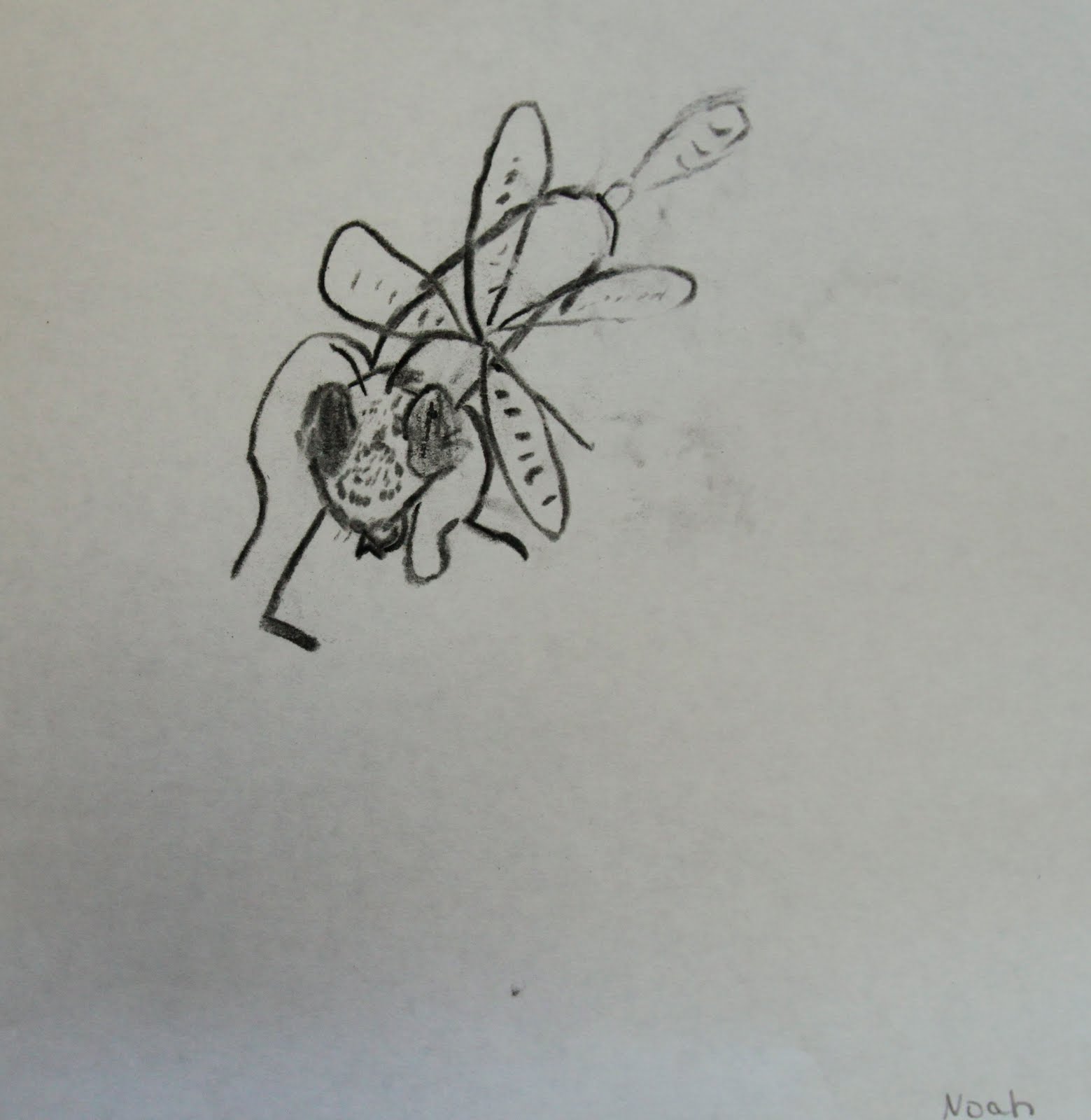 Black Hornet