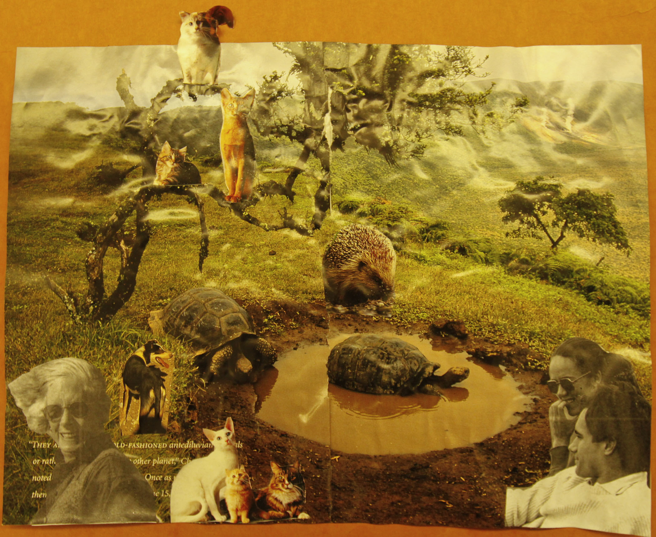 photocollage1_2